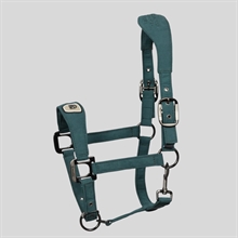 Cavallo CavalPawewel Grimma