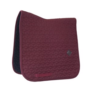 Kentucky Basic Dressyrschabrak 