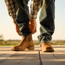 Ariat Hybrid Low Boy Herrmodell