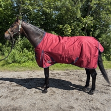 Tegelröd