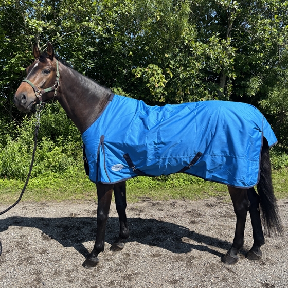 Koboltblå