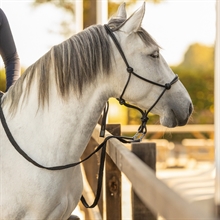 Reb grime leather Liberta