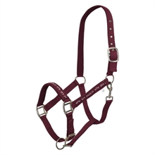 HV Polo Grimma Nena
