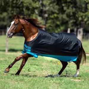 Horseware Mio regntäcke 0 gram