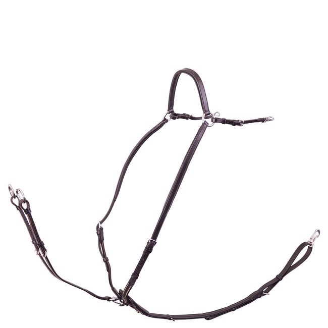BR Rayleigh Mooring med Martingale