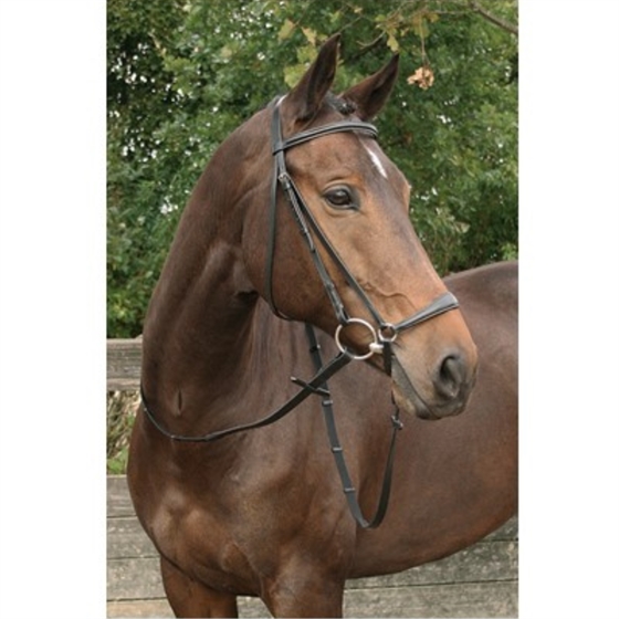 Harry\'s Horse träns med hannoveransk nosgrimma