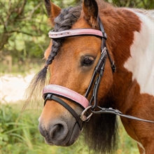 Harry's Horse Mini träns Diva Mauvewood