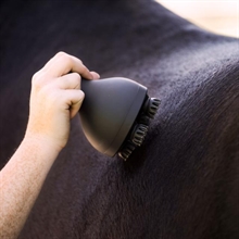 Imperial Riding Grooming & Relaxation brush IRH-Volta
