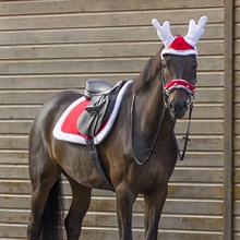 QHP Julschabrak