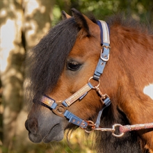 Harry's Horse Mini Grimma Diva Mauvewood