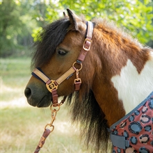 Harry's Horse Mini Grimma Diva Mauvewood