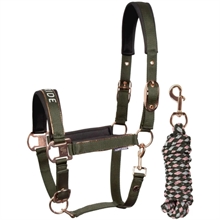Harry's Horse Grimset Just Ride