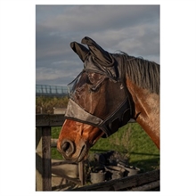 Harry's Horse flugmask Flyshield