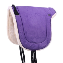 QHP Bareback pad