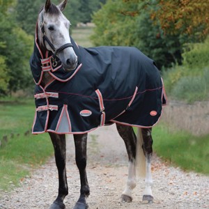 Weatherbeeta vintertäcke 220 gram Comfitec Premier therapy-tec detach-a-neck