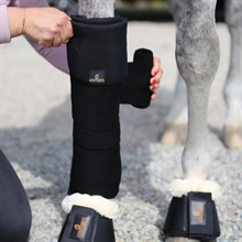 Kentucky ullbandage
