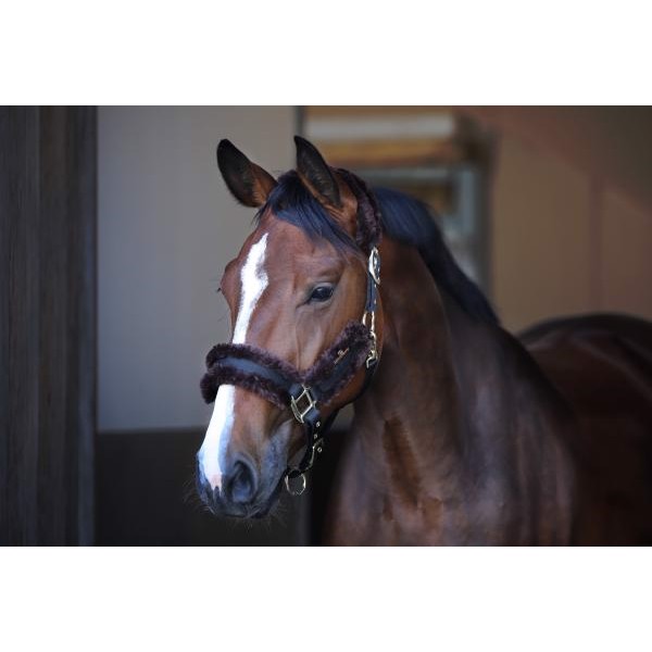 Kentucky Nylongrimma med lammull