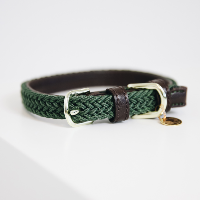 Hundhalsband i Kentucky Nylon