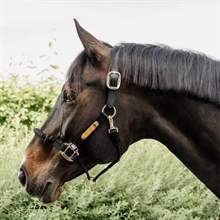 Kentucky Control Grime