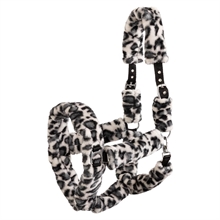 Premiere Leopard grimma