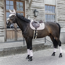 Kentucky hoppschabrak Velvet Pearls 