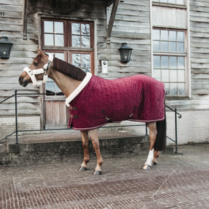 Kentucky Show Hästtäcken Velvet Bordeaux