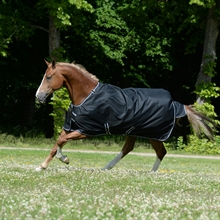 Bucas Trot Turnout 50 gram Travtäcke