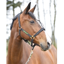 Greenguard nylongrimma