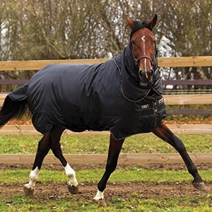Horseware Trot Plus vintertäcke 350 gram
