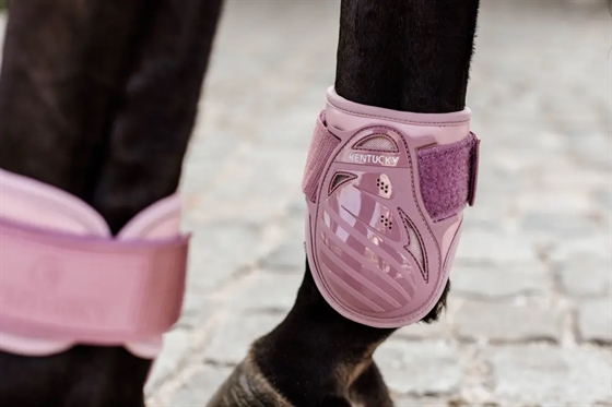 Kentucky bakben gaiters ung häst