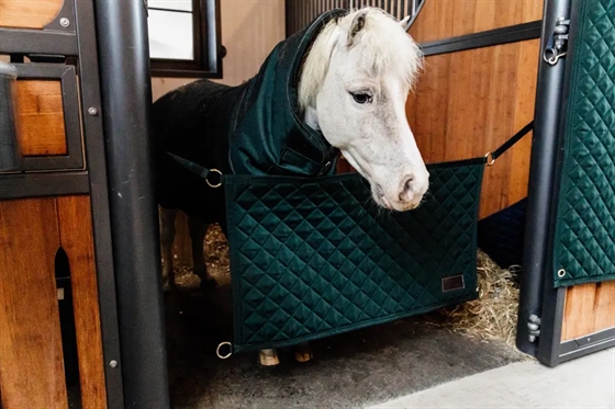 Kentucky Stable Guard