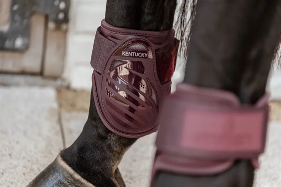Kentucky bakben gaiters ung häst