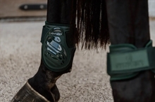 Kentucky bakben gaiters ung häst