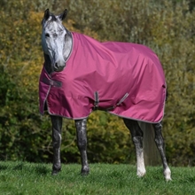 Bucas Freedom regntäcke Pony