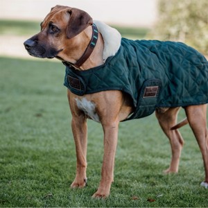 Kentucky hundtäcke Dark Green