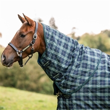 Hunter Check/Navy&Green