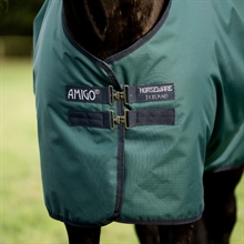 Dynasty Green