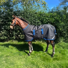 Horseware Amigo fölhästtäcken 900D 200 gram