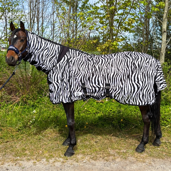 AB Insekttäcken zebra combo