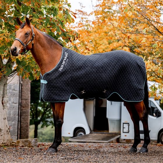 Horseware Thermal Cooler
