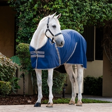 Rambo Stable sheet Hästtäcken