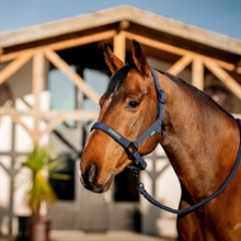 Horseware Amigo grimset