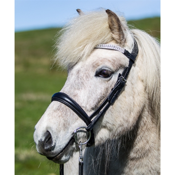 Eques Anatomisk Engelsk Næsebånd