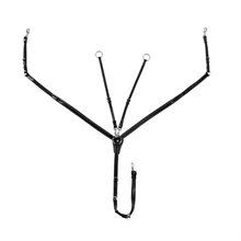 Equestro brösta med martingal