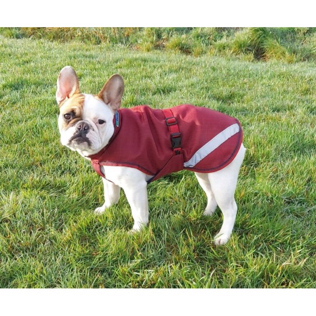 Bucas Freedom Dog Rug