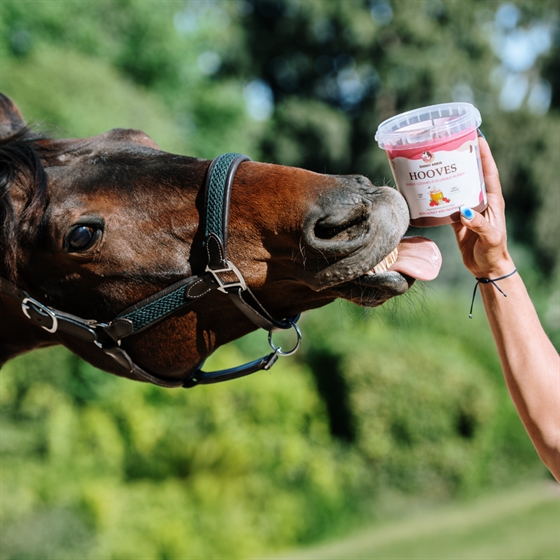 Candy Horse hästgodis Hooves 1,2 liter hink