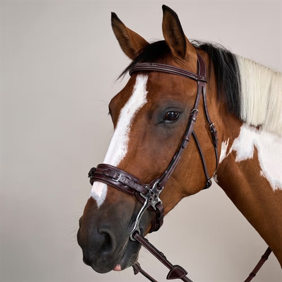 Dyon Hackamore träns US Collection