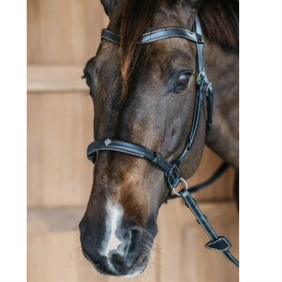 Dyon bettlöst träns