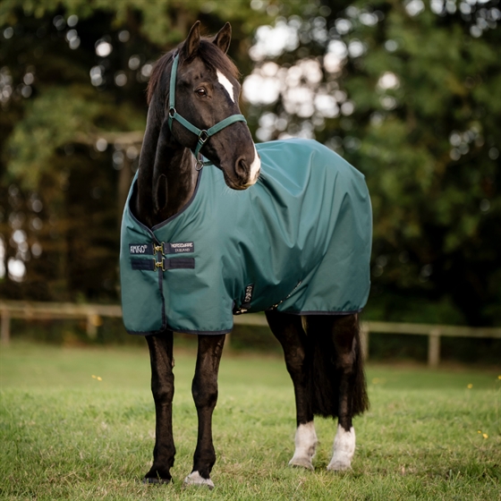 Horseware Amigo Ripstop 900D Pony Turnout 100g
