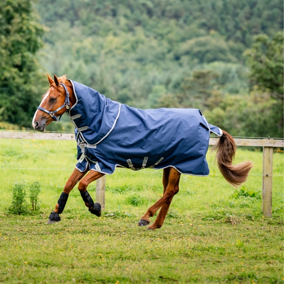 Navy/Titanium Grey & Silver